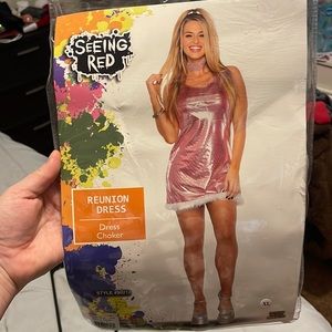 Romy and Michelle’s highschool reunion costume. Michelle’s dress